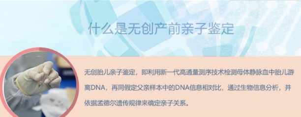 石家庄怀孕十八周如何办理DNA亲子鉴定,石家庄孕期亲子鉴定收费多少钱