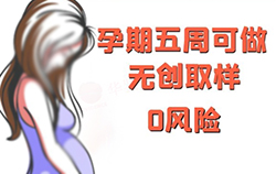石家庄如何办理孕期亲子鉴定 石家庄如何办理孕期亲子鉴定