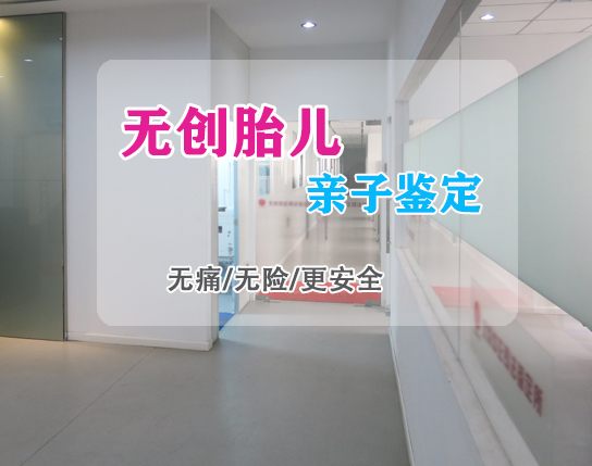 石家庄怀孕如何办理亲子鉴定,石家庄胎儿做亲子鉴定办理的流程