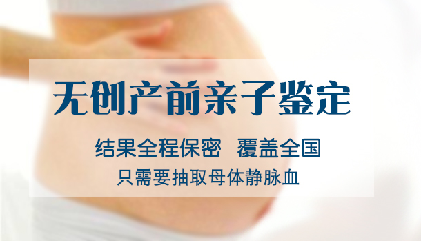 刚怀孕如何鉴定孩子父亲是谁[石家庄],石家庄无创怀孕亲子鉴定多少钱一次