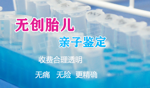 刚怀孕如何鉴定孩子父亲是谁[石家庄],石家庄无创怀孕亲子鉴定多少钱一次