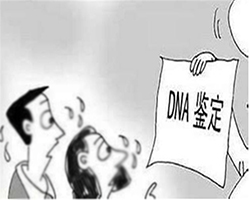 石家庄医院DNA鉴定如何办理,石家庄做亲子鉴定医院在哪 石家庄医院DNA鉴定如何办理,石家庄做亲子鉴定医院在哪