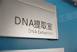 石家庄权威DNA鉴定医院去哪 石家庄权威DNA鉴定医院去哪